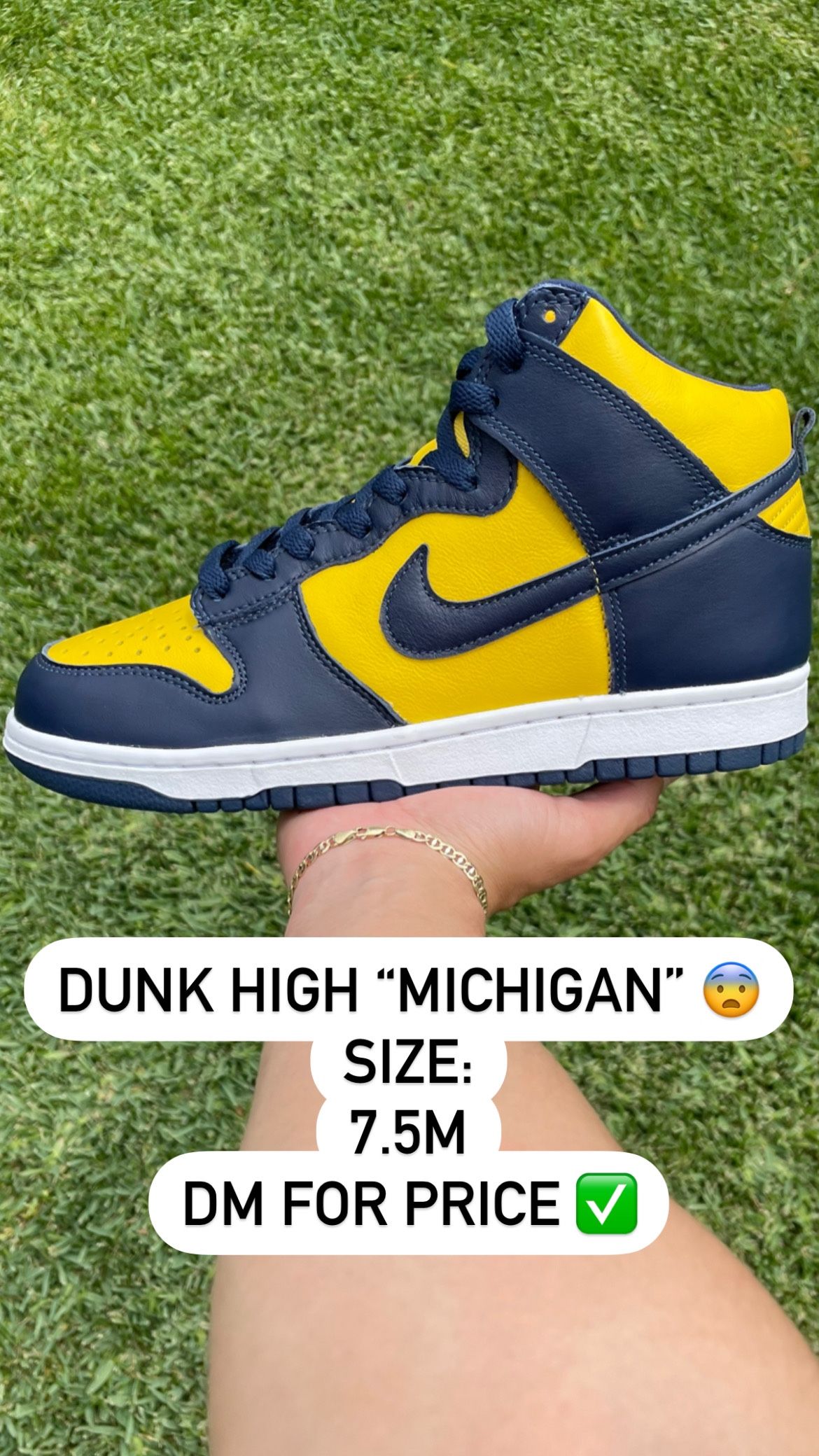 Dunk High Michigan Size 7.5 M
