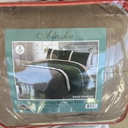 Queen Blanket With 2 Pillows Cases New 