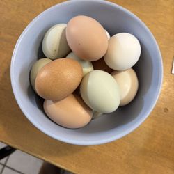 Eggs
