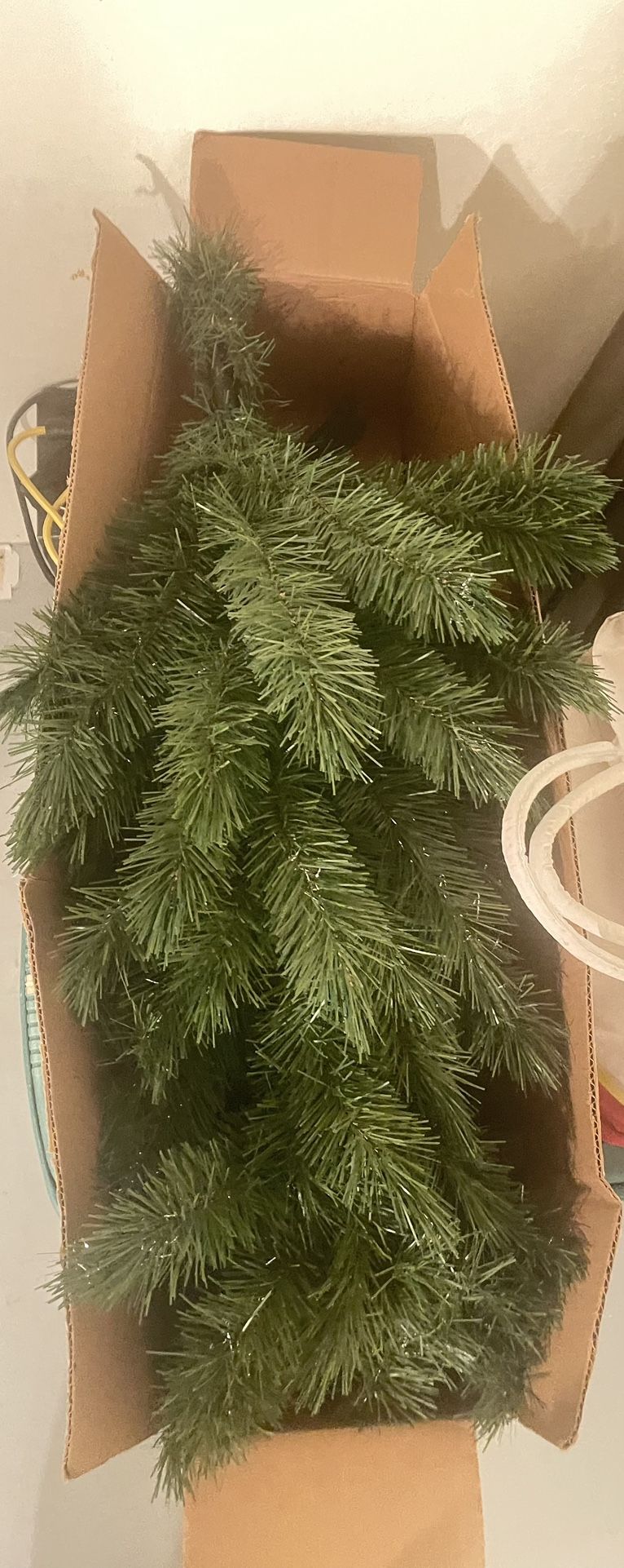 Baby Christmas tree