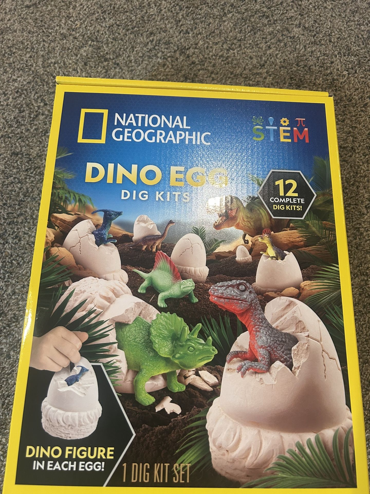 Dino Egg dig kits