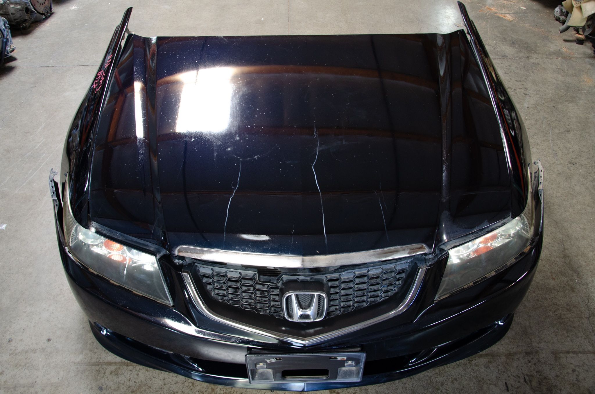 JDM 04-08 Acura TSX/Accord Complete Front End Conversion