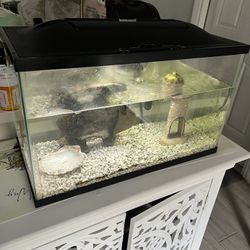 Complete Fish Tank
