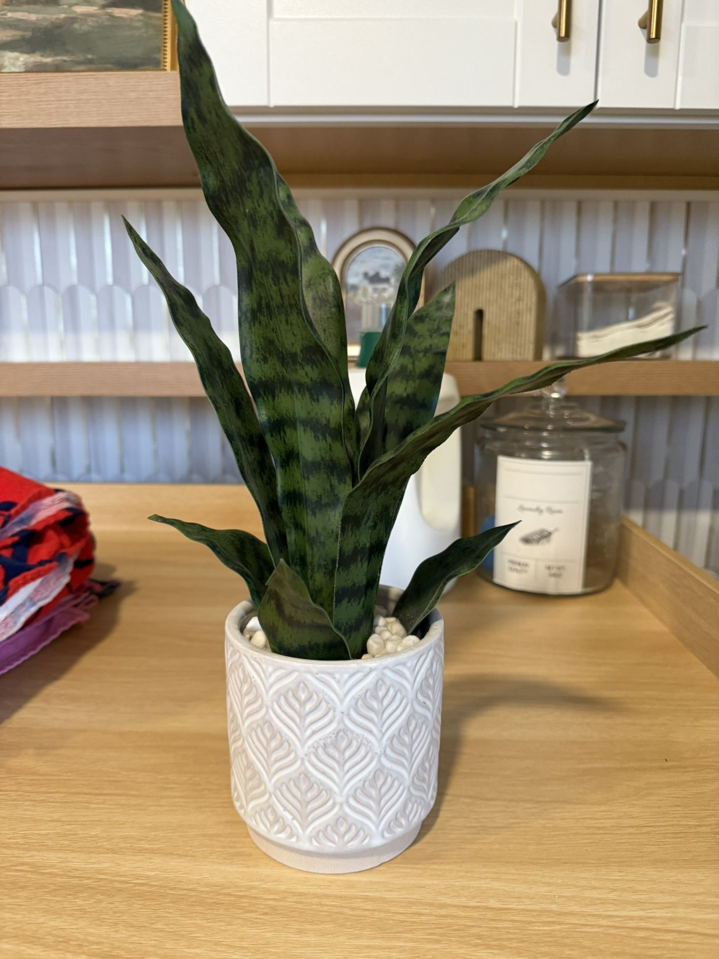 Plant Decoration