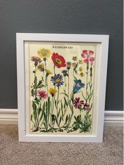 Framed Wildflowers Botanical Print