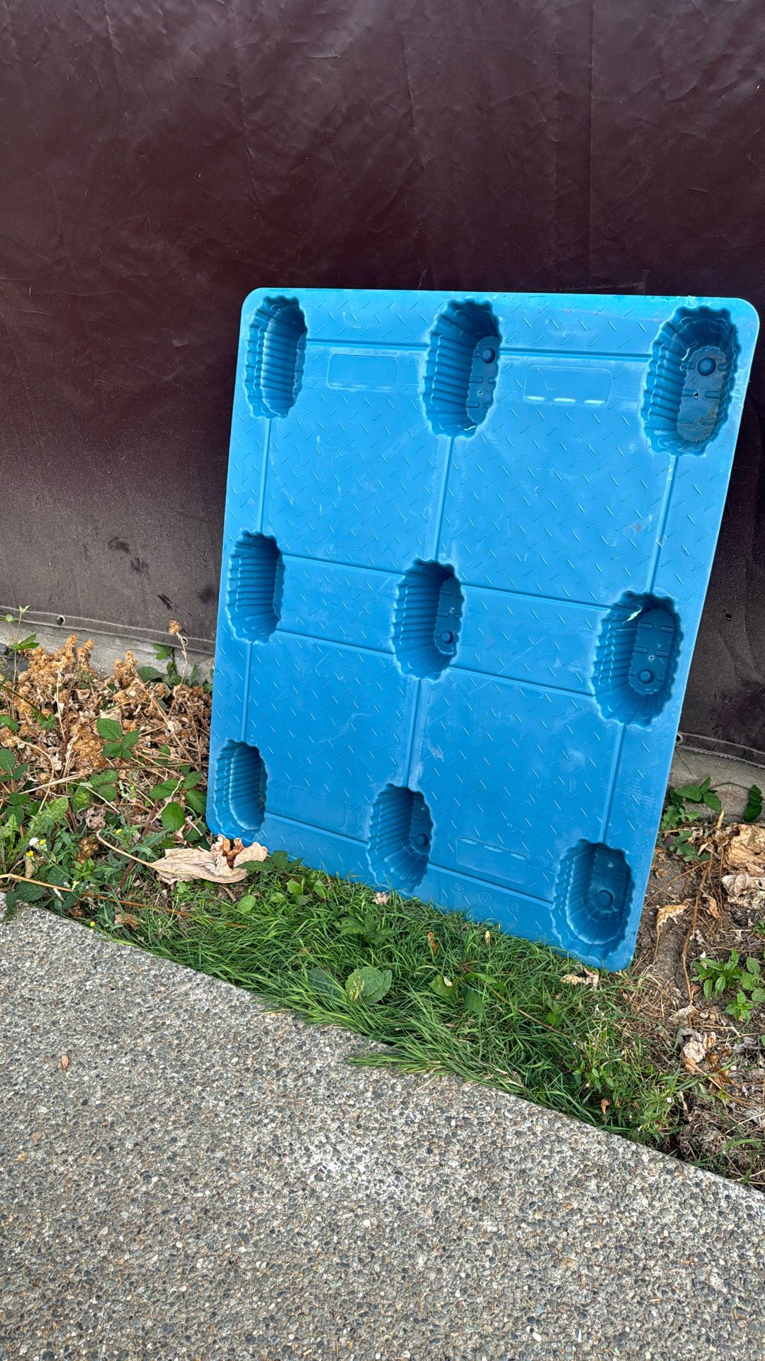 Plastic Pallet ( Only 1 Left)