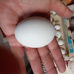2 Dozen Ceramic Easter Eggs