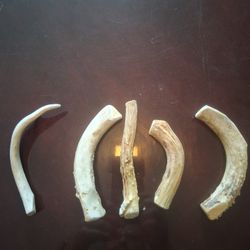 ANTLER  DOG CHEWS,REAL