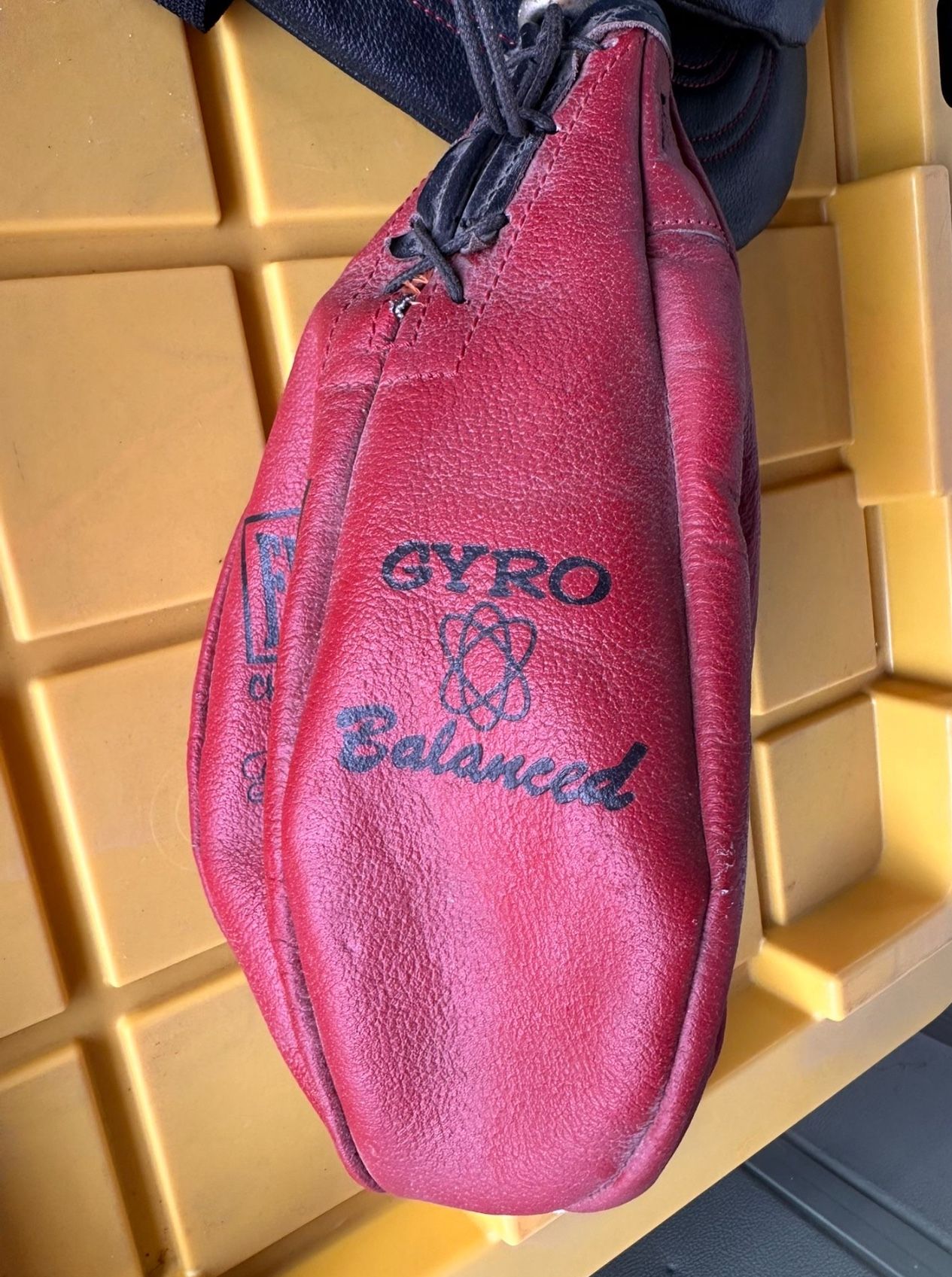 Speed Bag And Gloves 