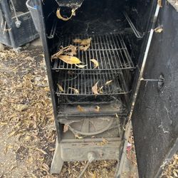 30 in. Dual Fuel Propane Gas and Charcoal Smoker in Black