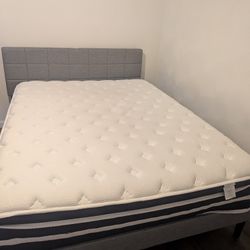 Queen Size Bed And Frame 