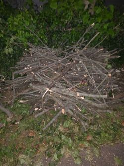 Fire woods For Free