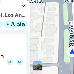 Women Leggings Sunzel Sunzfly