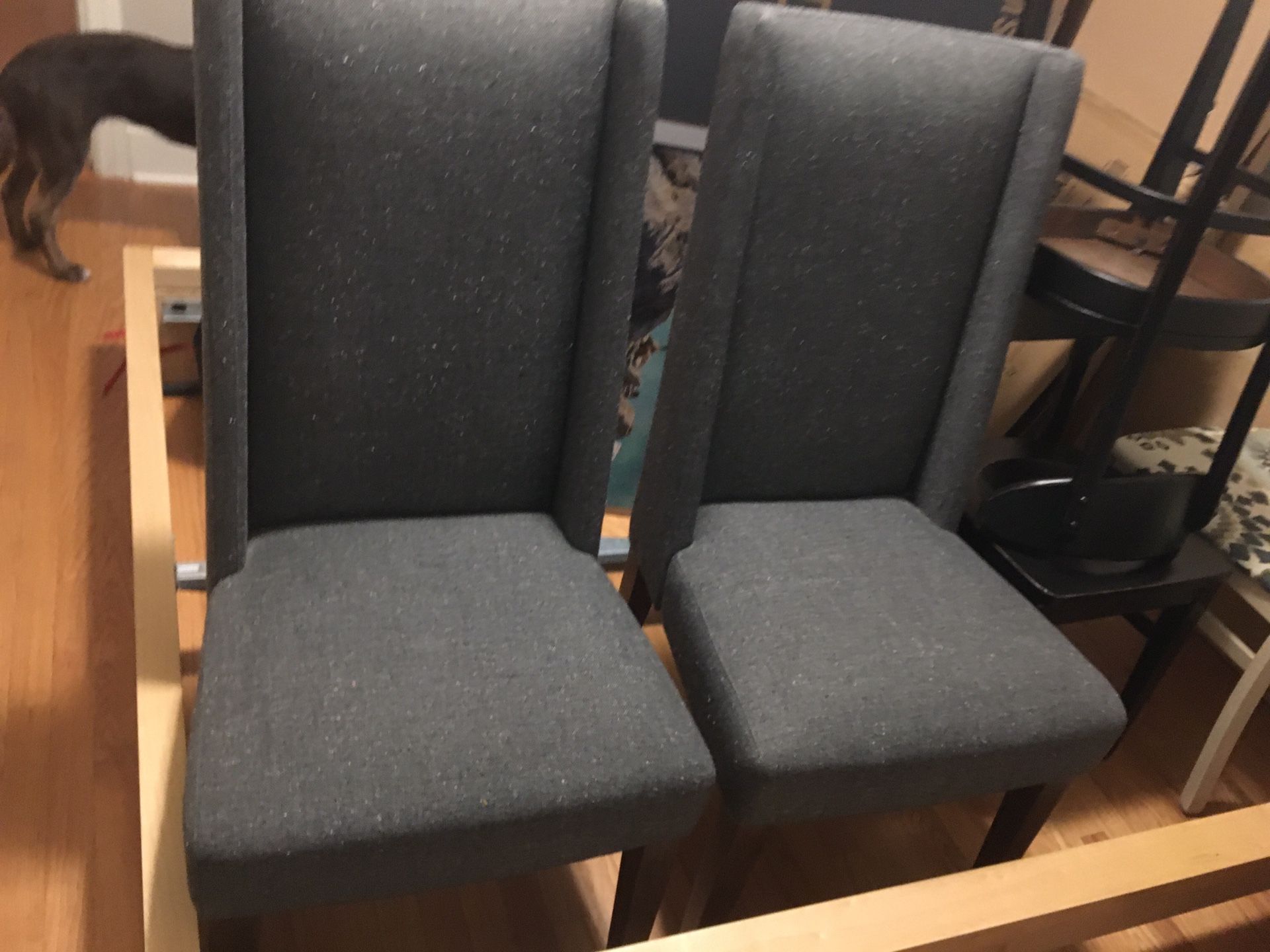 West Elm Dining Chairs (2 chairs)