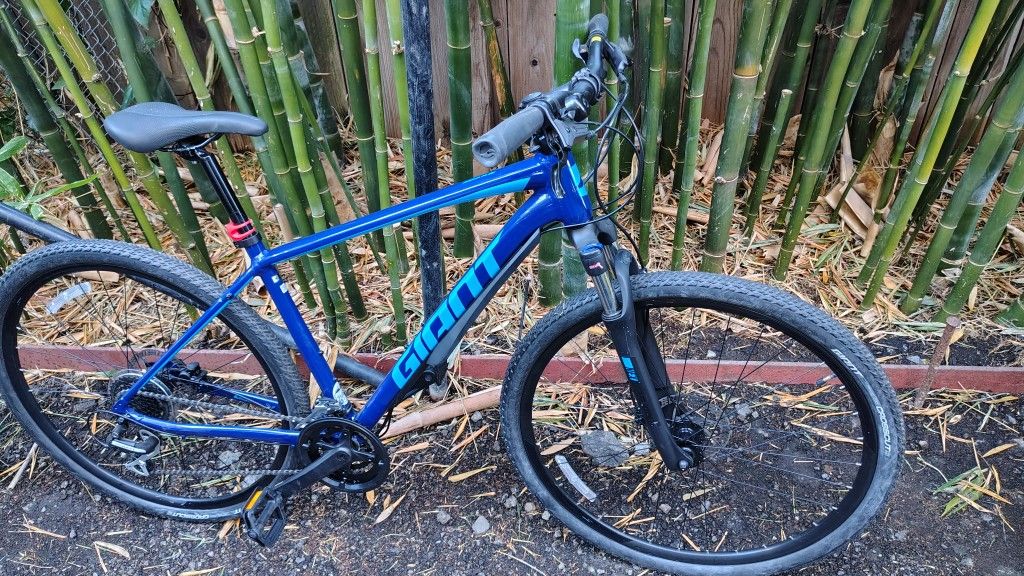 Giant Bikes 
