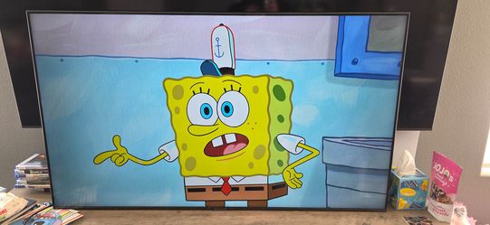 Samsung 55 invh TV