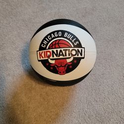 Chicago Bulls - Mini Basketball