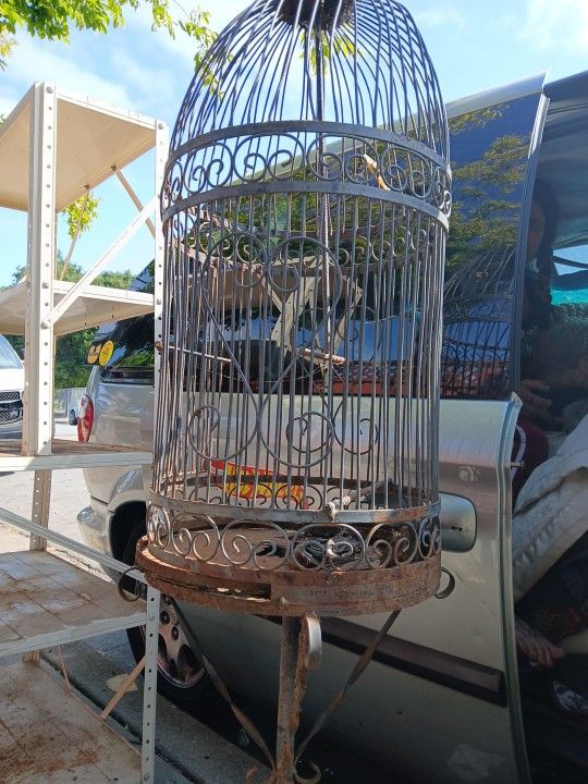 Brid Cage