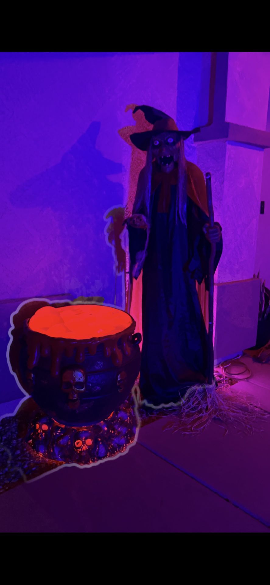 Halloween Witch And Cauldron 