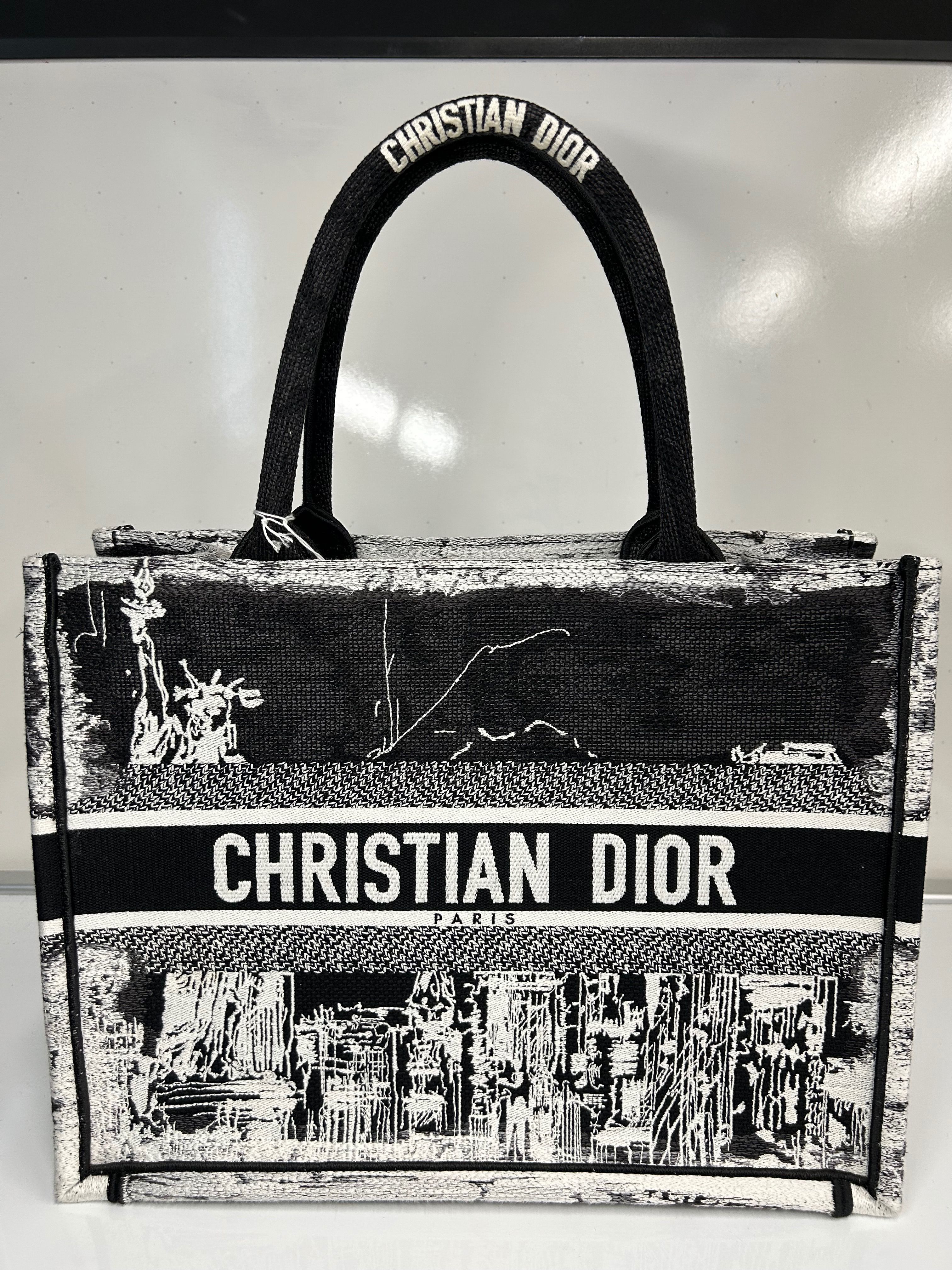 Dior Canvas Embroidered Medium Book Tote (H)