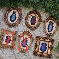 Dark Academia Beetles In Baroque Frames 
