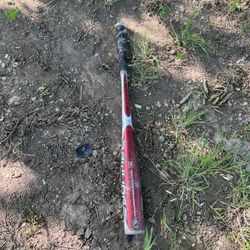 Bat