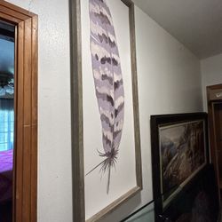 Feather Picture 
