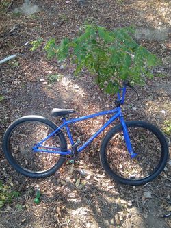 29in Bmx