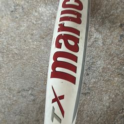 Baseball Bat