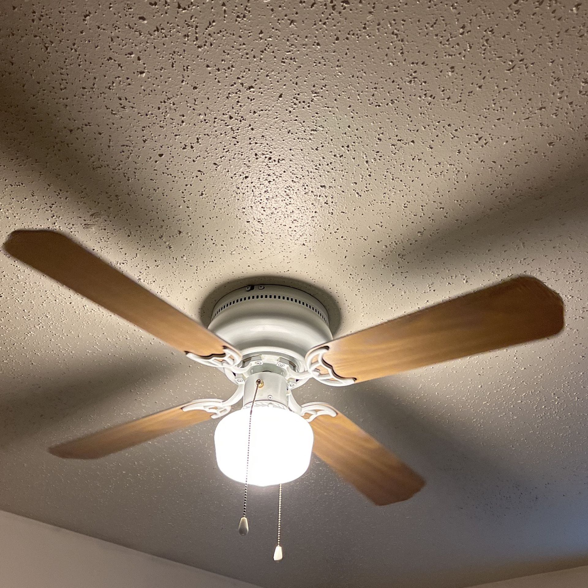 Ceiling Fan