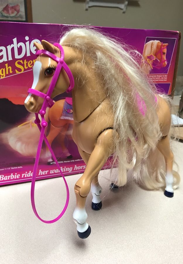 Cavaliere Della Donna Con Il Cavallo Che Cammina Sull'ippodromo
