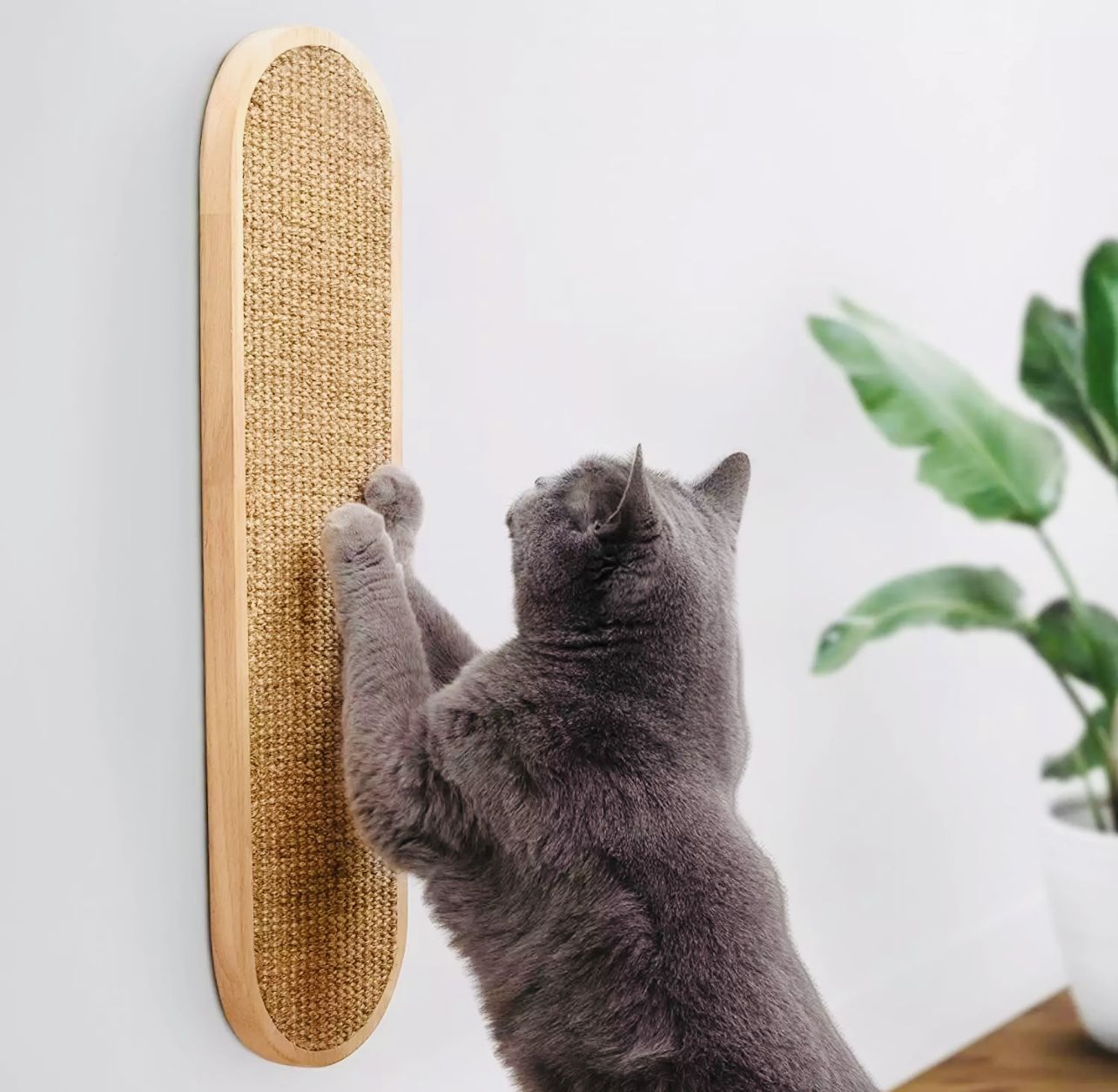 7 Ruby Road Wall Mounted Cat Scratcher - Indoor Cat Scratching Board Cat Vertical