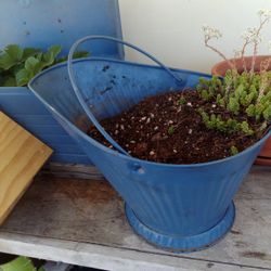 Metal Plant Container