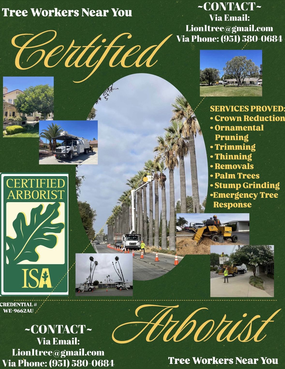 Tree Workers Near You!