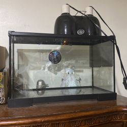 Tank, Habitat, Lights 
