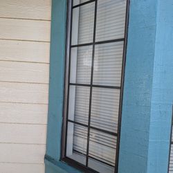 Outdoor Window Cleaning 