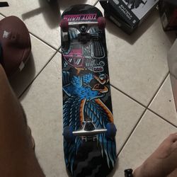 Tony Hawk Skate Board Used