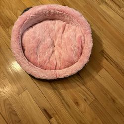 Pet Bed 