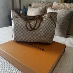 Louis Vuitton Bag Used But In Clean Condition 