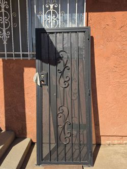 Security door ...entry door