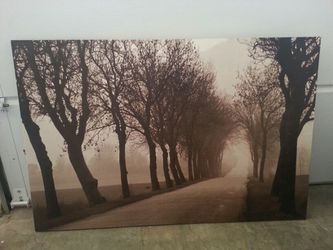 vochtigheid Evalueerbaar Bomen planten IKEA "Misty Road" Canvas Print. for Sale in Galt, CA - OfferUp