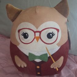 Jaydelle the Teacher Owl Squishmallow. She is part of the "Back to School" squad. NWT