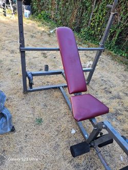 Olympic Bench Press