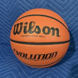 Wilson Evolution Mens Basketball size 7 29.5" 