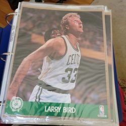 Larry Bird Collector Cards Over 460 Total