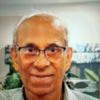 Harry shetty