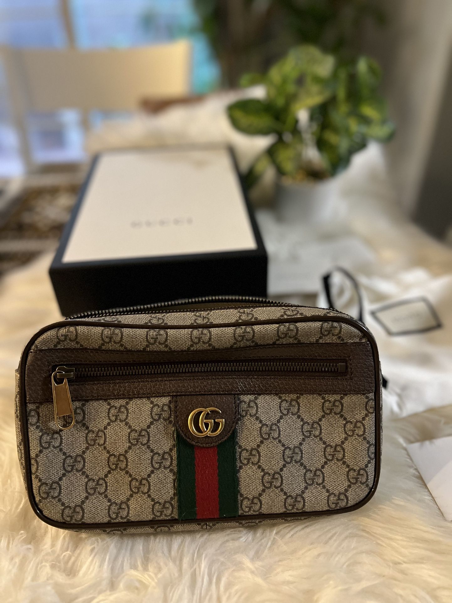 GUCCI Waist Bag Ophidia 