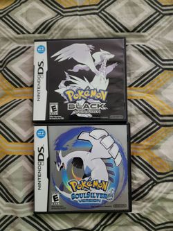 Nintendo DS Cases
