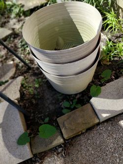 Plastic Planters