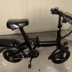 Electric Bike